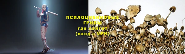 соль курить ск Наволоки