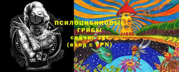 прущий лед Навашино
