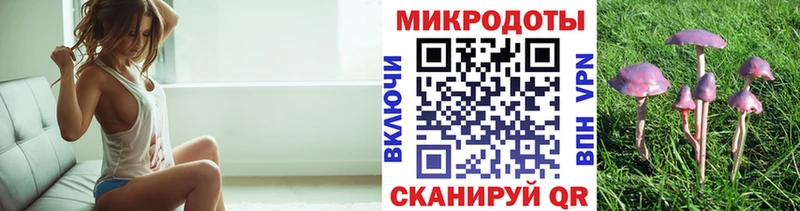 Галлюциногенные грибы прущие грибы  Чадан 