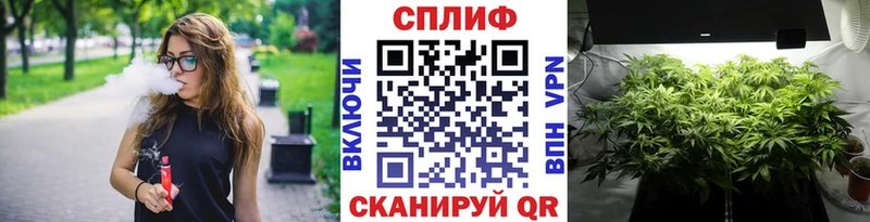 закладка  Чадан  Канабис тримм 
